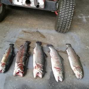 Meet your Posher, Earl